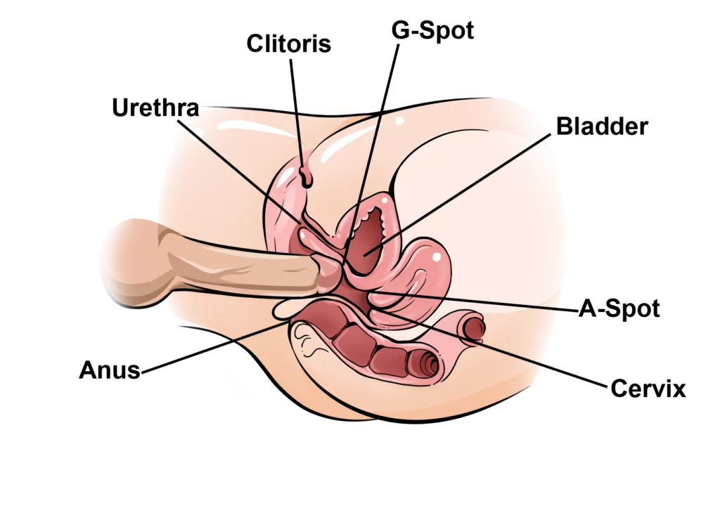 squirt techniques online course 22